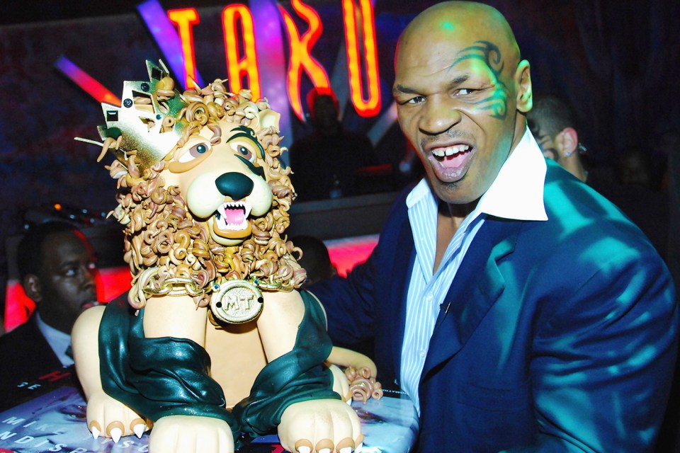  Boxing legend Mike Tyson has revealed he hit rock-bottom in 2009 following an incident at a hotel