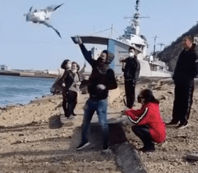  After taking pictures, he roughly threw the bird into the air