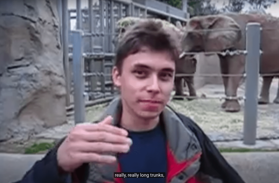  In the video, YouTube co-founder Jawed Karim talks about elephants