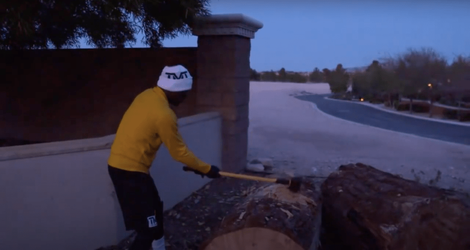 The American chops down logs of trees with an axe