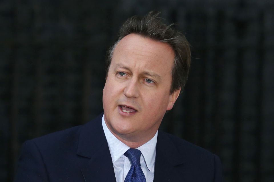 But former PM David Cameron opposed the decision