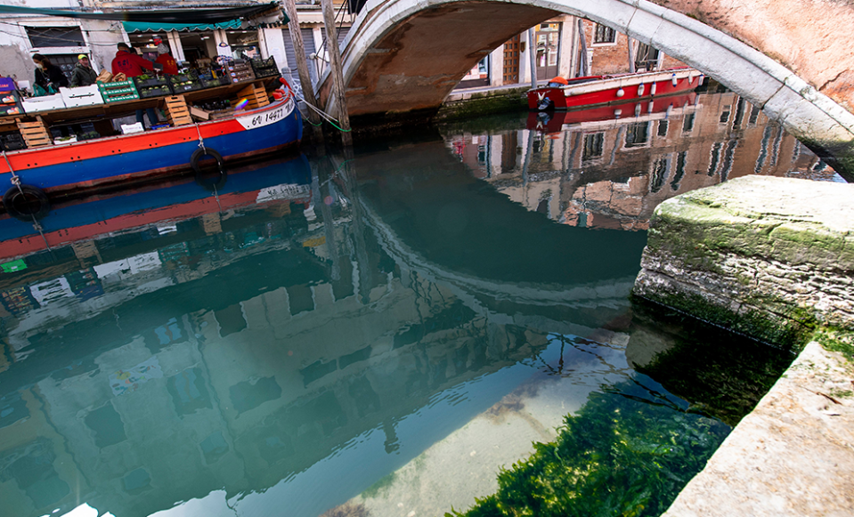 Venice's waterways are the cleanest they have been in decades