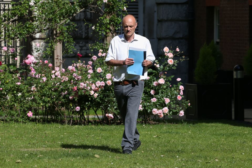  Dominic Cummings made the statement on the grounds of No10