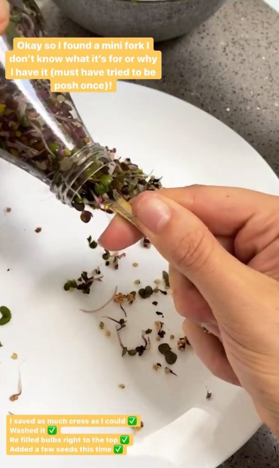  The Loose Women star has been showing fans how to grow their own herbs