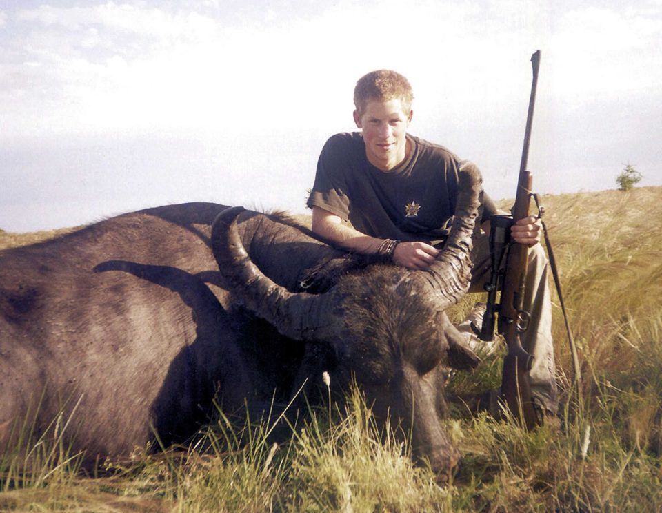  Prince Harry smiles and crouches beside the body of a water buffalo in Argentina in 2004