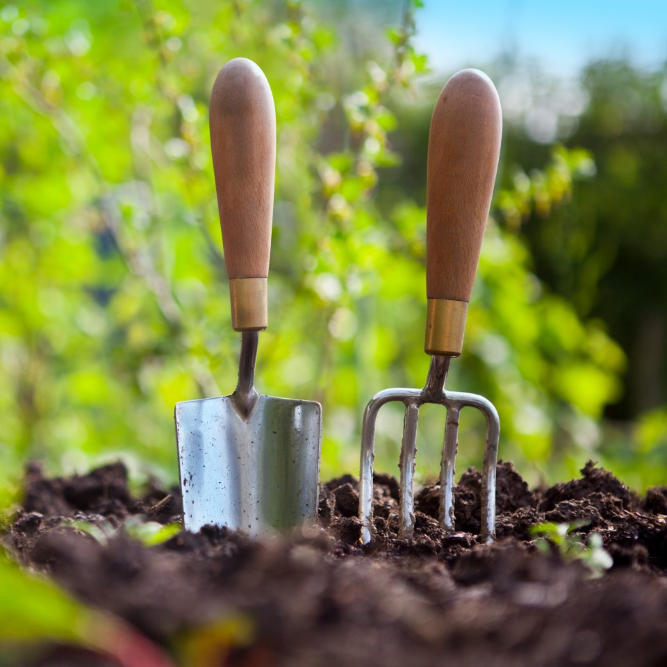  The sale of gardening tools blossoms over week four of lockdown