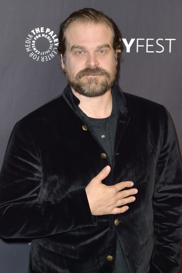  David stars as Jim Hopper on Netflix's Stranger Things