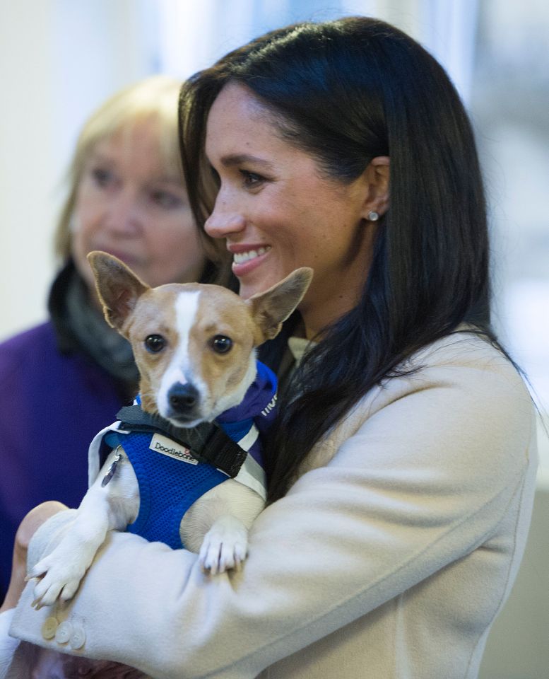 Meghan Markle, 38, has always been an animal advocate