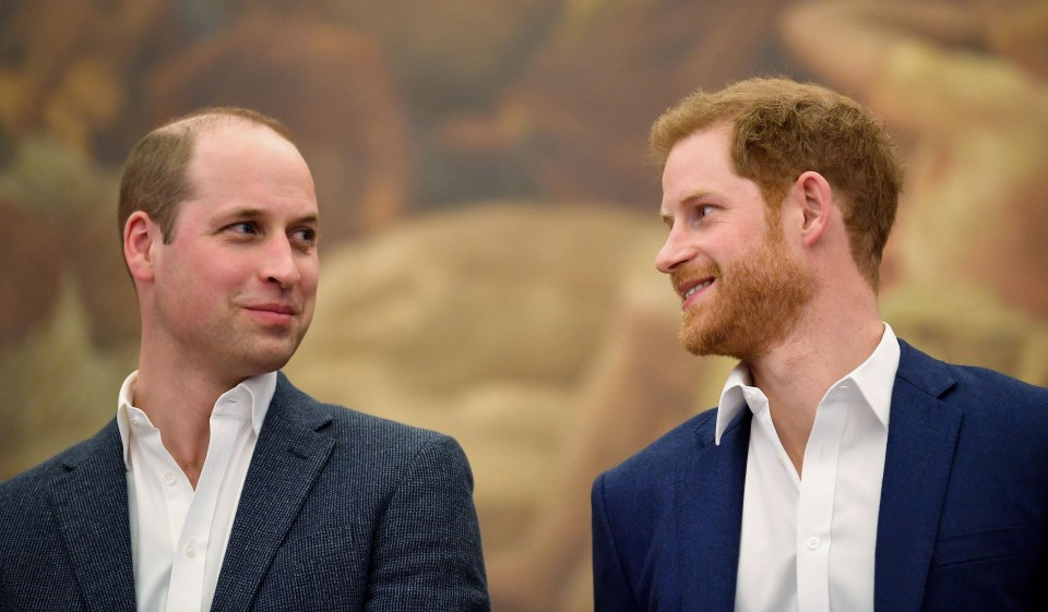 Princes William and Harry are finally “back in touch” according to royal expert Katie Nicholl