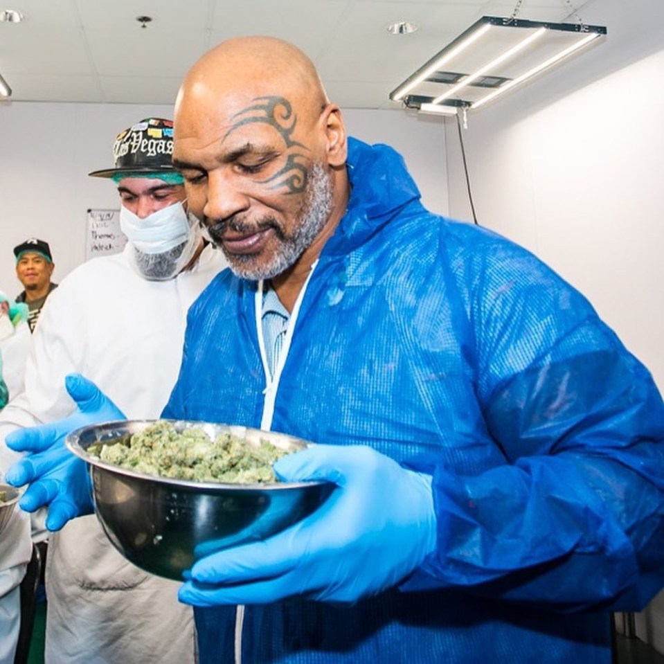  Mike Tyson joined up with Alki David in 2016 to set up a CBD company