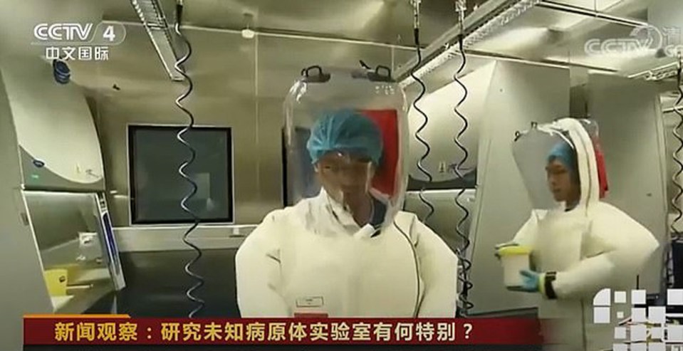  Rare footage shows scientists working at the controversial Wuhan virus lab