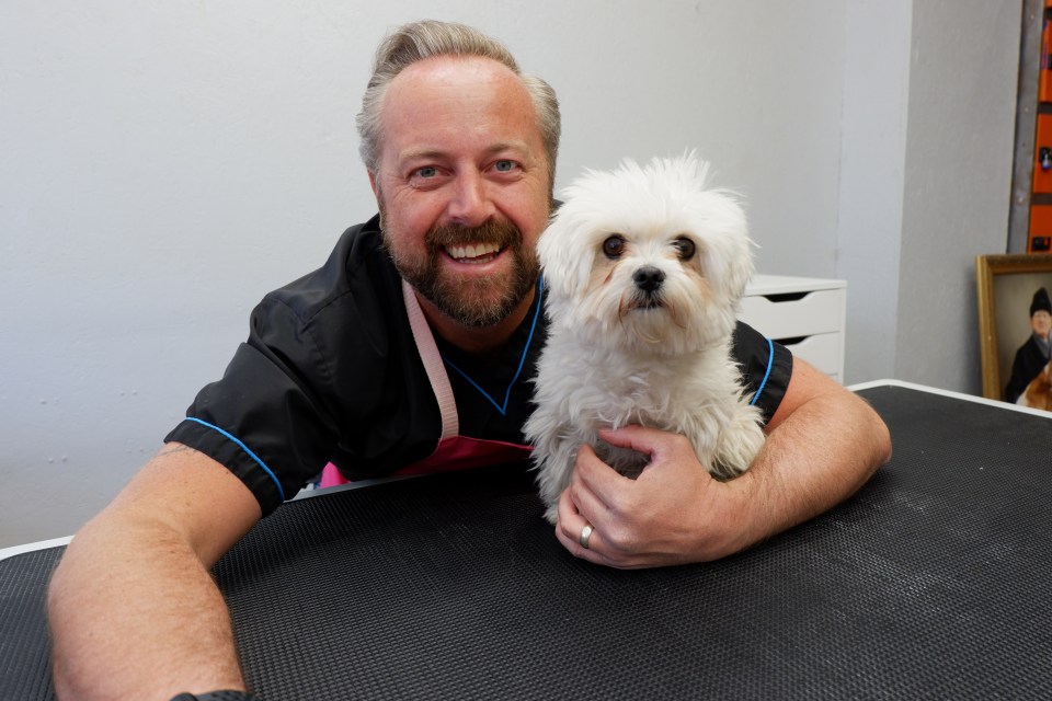  Stuart Simons, founder of The Groomers Spotlight, and his Maltese terrier Seamus