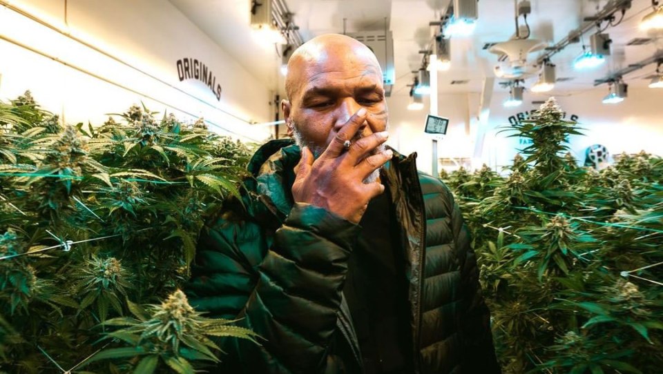  Boxer-turned-cannabis seller Mike Tyson is friends with Alki David, who is hoping to sponsor Everton