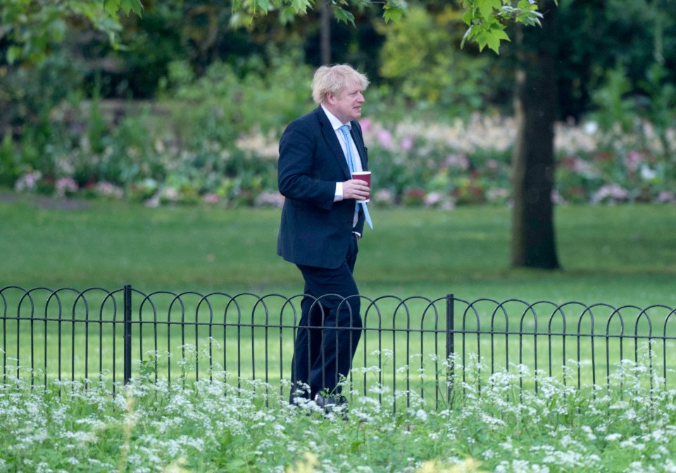  Boris Johnson out walking in London's Green Park on Tuesday morning