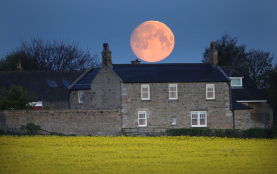  This shot was captured in Northumberland, England