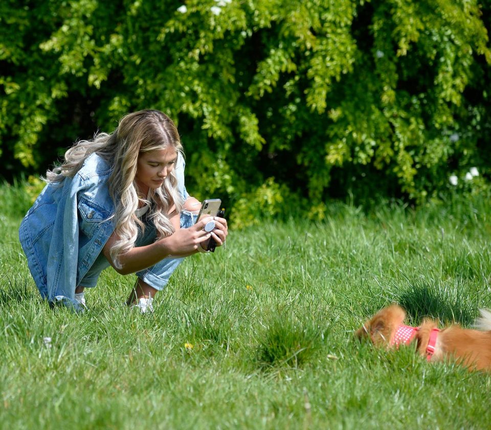  At one point she crouched down and took a snap of the dog lying in the grass