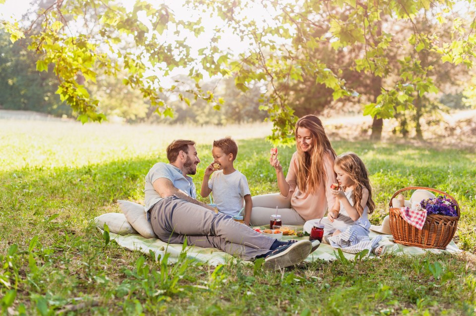 Tesco, Co-op and Asda are bringing back disposable barbecues