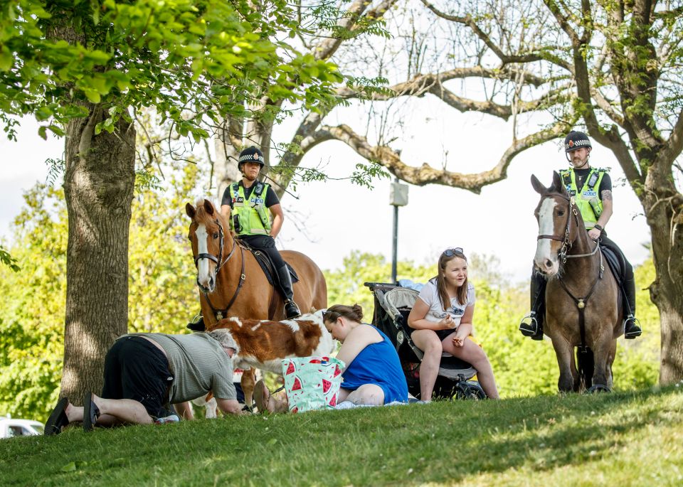 Police ask a family to move on in Heaton Park, Manchester