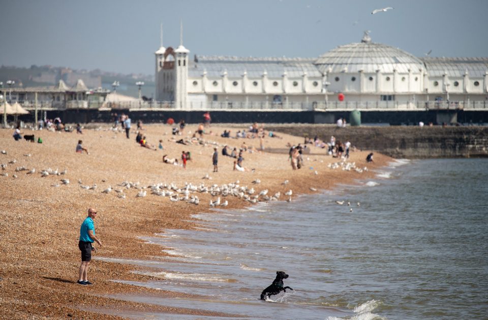  Brighton council has said urged people who do not live in Brighton and Hove to stay away