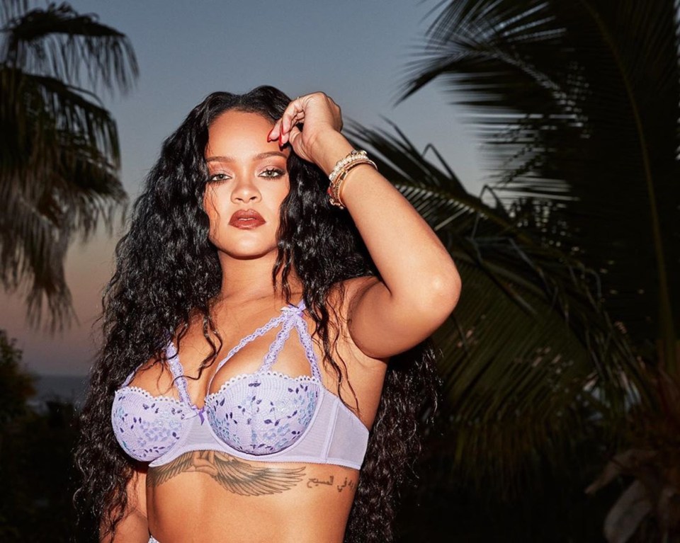  Rihanna's music career, cosmetic line Fenty Beauty and lingerie brand have contributed to her huge fortune