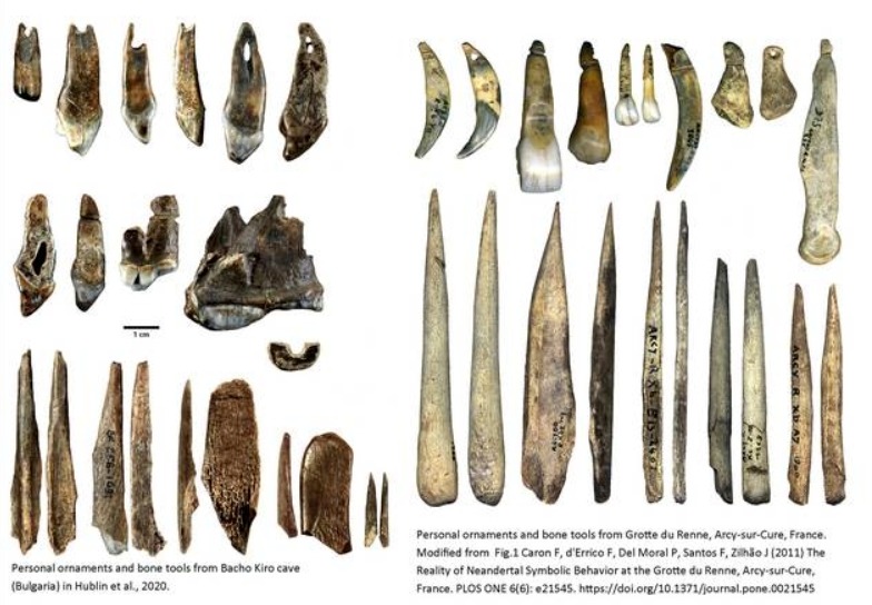 To the left are bone ornaments and tools found in Bacho Kiro Cave and to the right are similar ones found in France