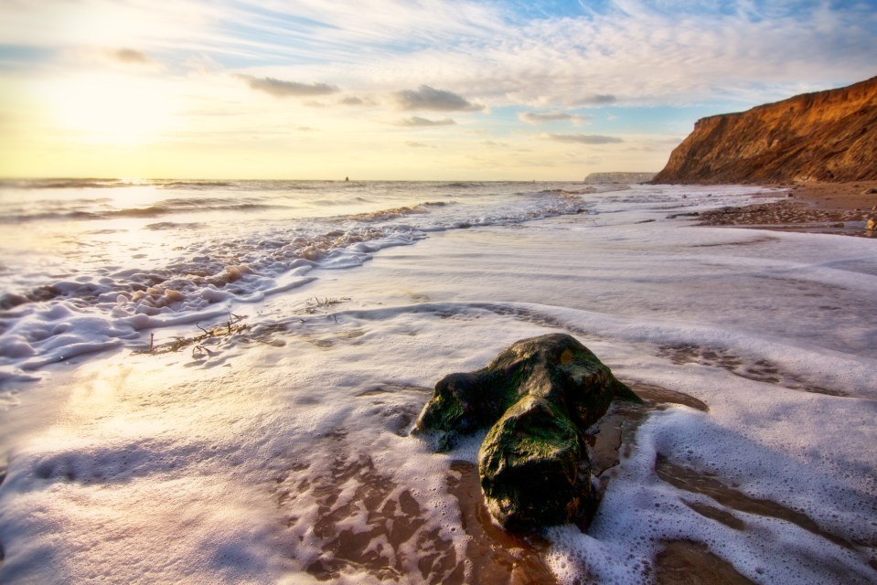  Take a fossil walk when you visit the Isle of Wight, where Britain’s largest-ever dinosaur thundered along 125million years ago