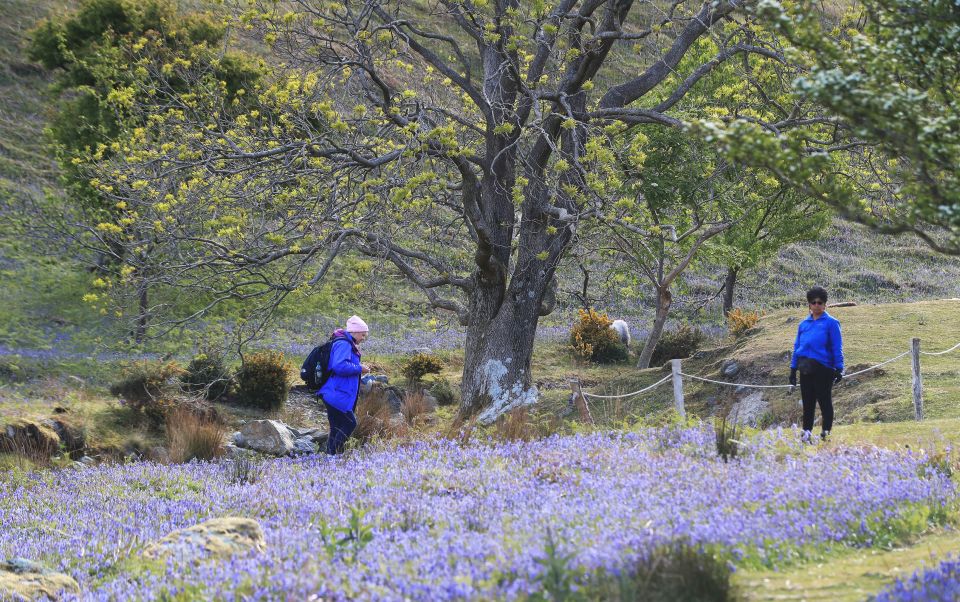 Walkers take a stroll in the Lake District