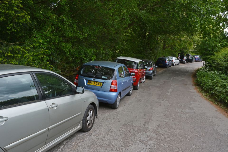 Cars line the country lane leading to Kingley Vale, in the South Downs National Park near Chichester, West Sussex