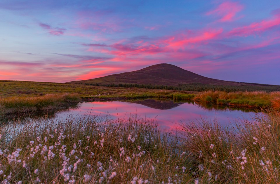  The Isle of Man's peaceful countryside is a haven for wildlife, it truly is a beautiful destination rich in history, culture and attractions