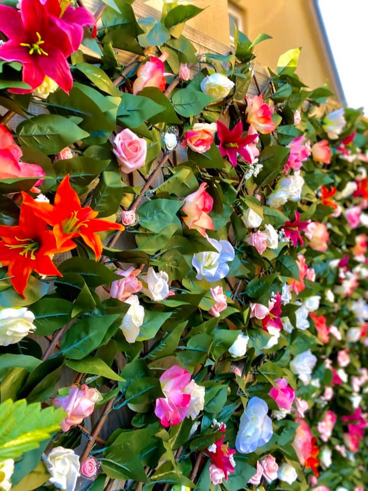 She picked up the trellis from eBay and the flowers from The Range