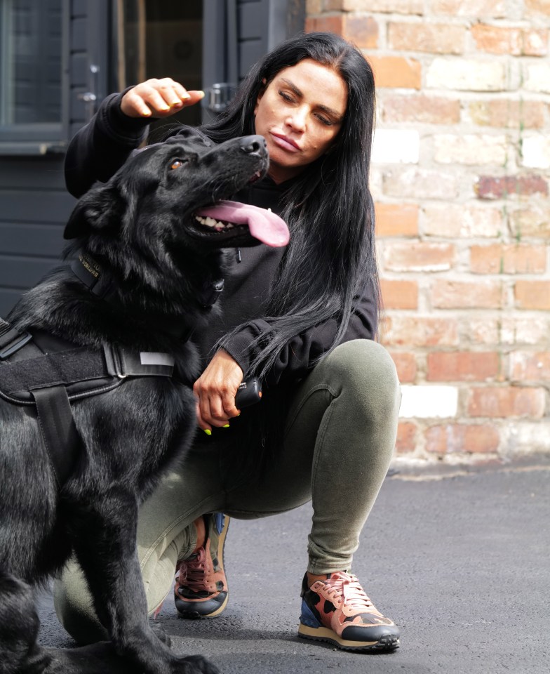  Katie Price has her protection dog sleeping in her room to keep her safe at night