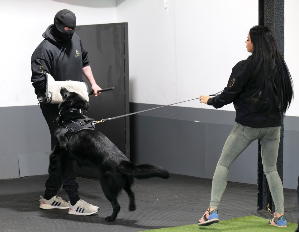  Katie Price tries out her protection dog Blade's new skills