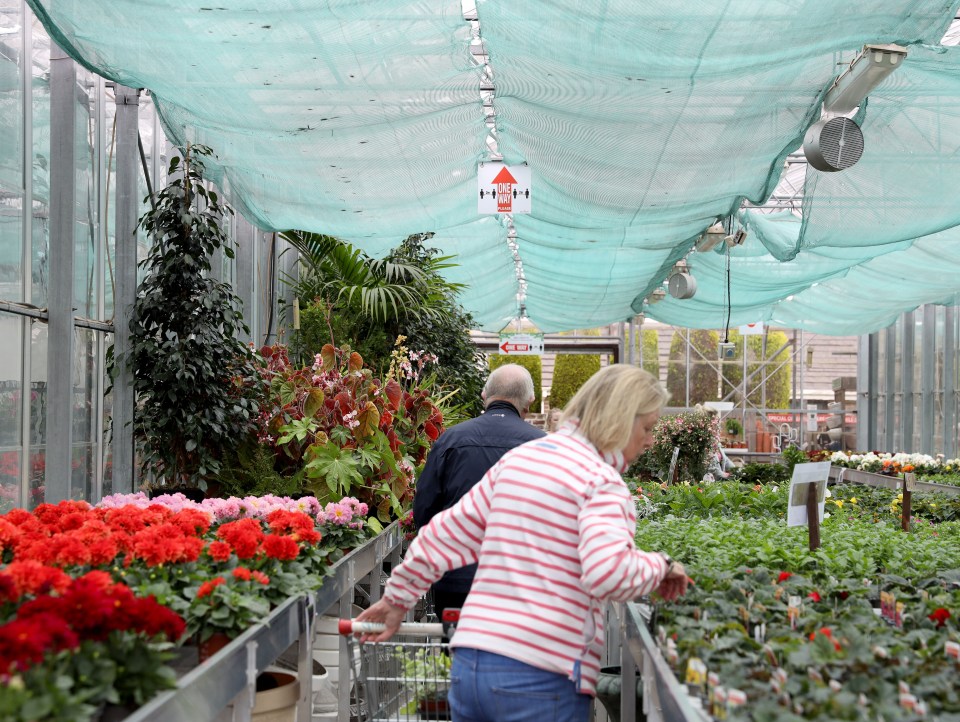  Garden centres have re-opened in Northern Ireland as lockdown measures are eased