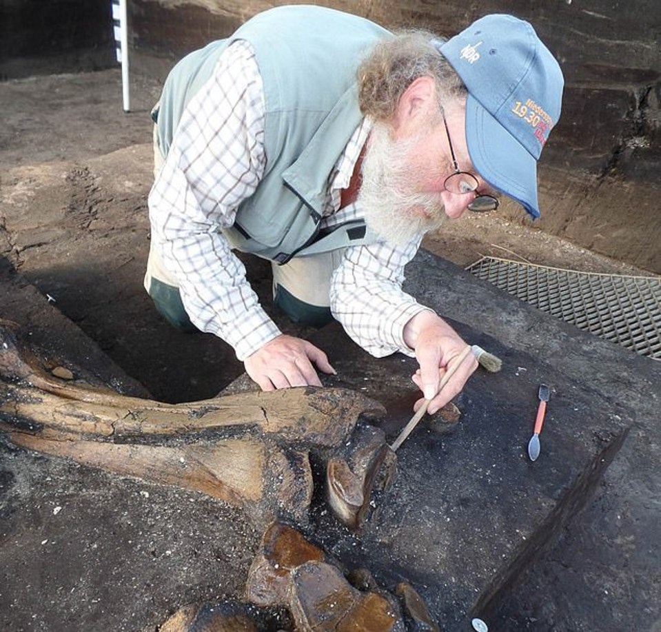 The skeleton was so well preserved because it was killed near an ancient lake that covered it in sediment