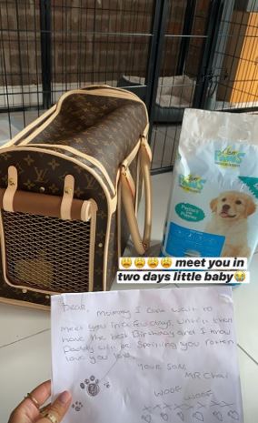  Tommy surprised Molly with the ultimate 21st present - a puppy and a Louis Vuitton carrier