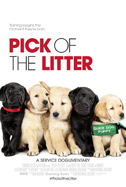  This series follows six puppies as go through their training in a bid to become certified guide dogs