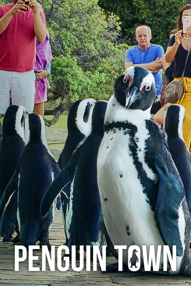  Penguin Town follows the story of a unique group of endangered penguins