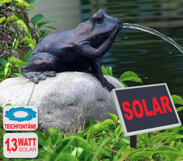 Frog lovers will adore this solar powered water feature