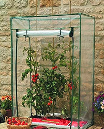 This growhouse is perfect for vegetable growers