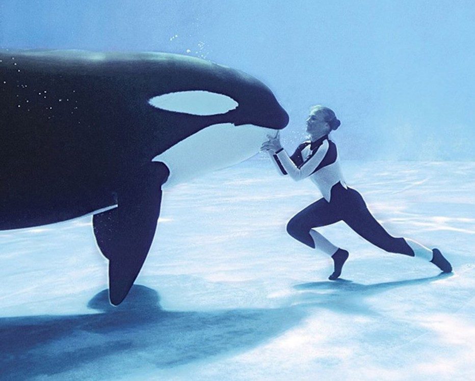  SeaWorld faced significant backlash after the release of this harrowing documentary