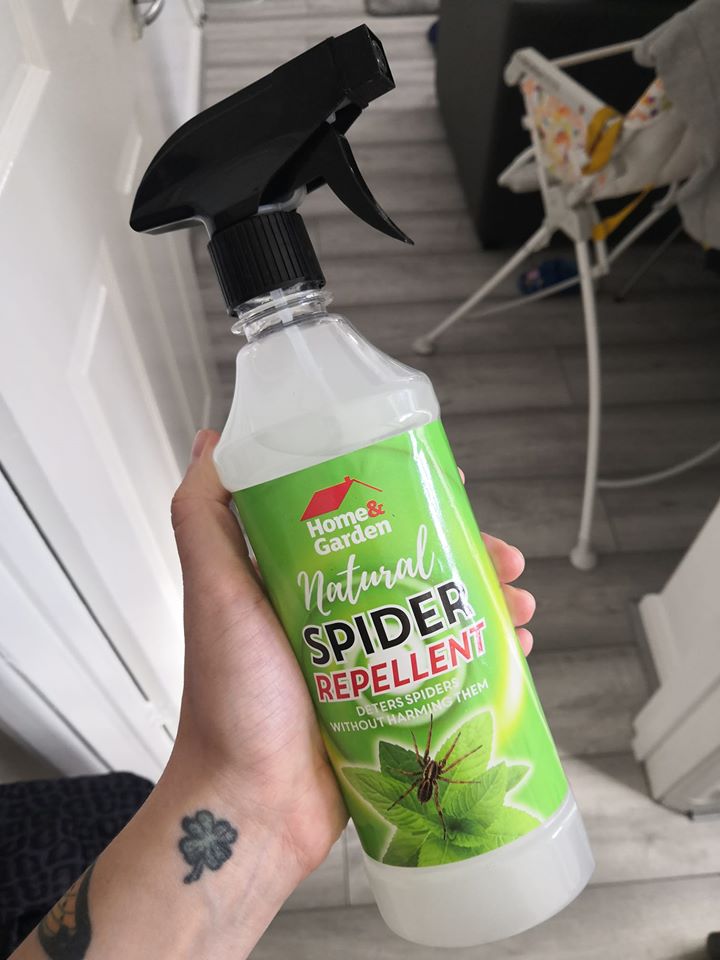 Poundland shoppers are excited to try this spider repellent spray