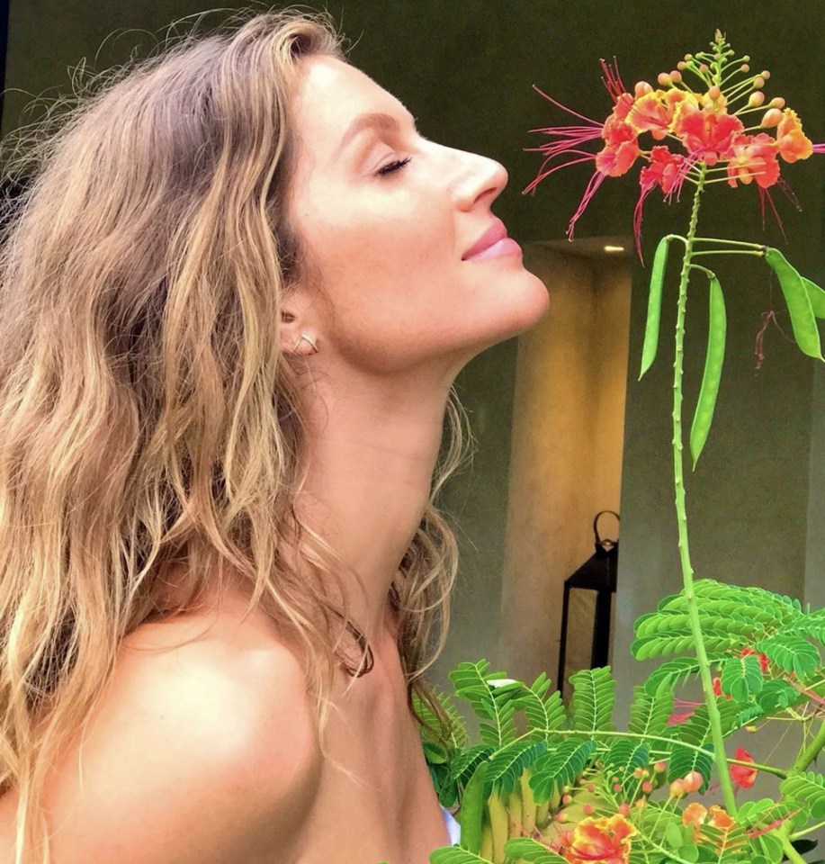 Model Gisele Bundchen, 39, makes easy work of snapping with flowers