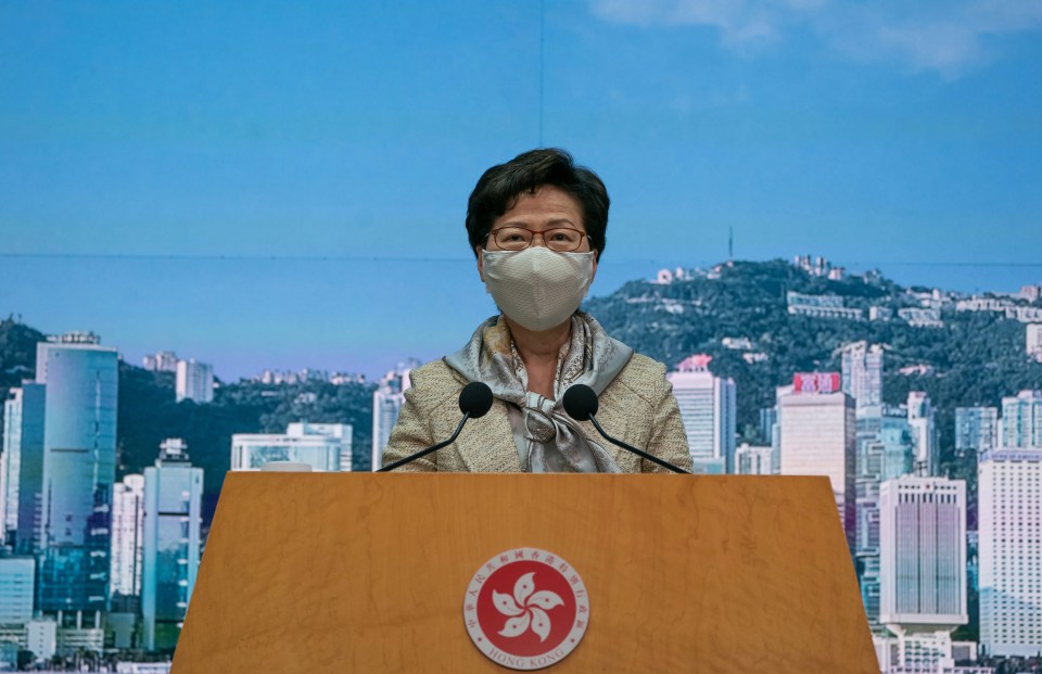 Hong Kong Chief Executive Carrie Lam says the new laws are much needed in the former British colony