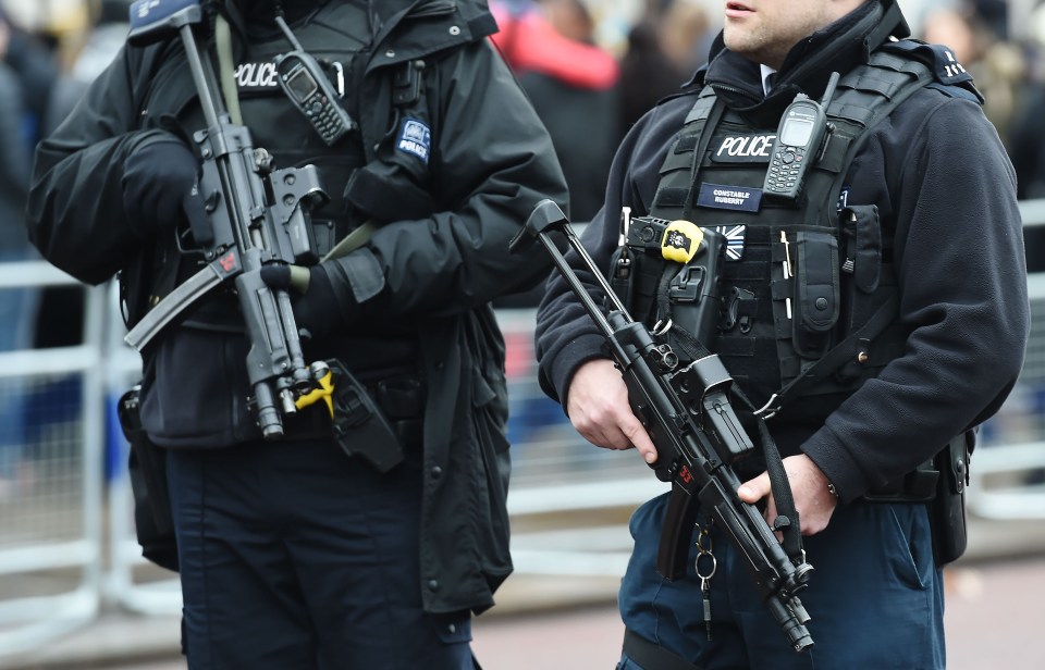 Hampshire Police said they had been working closely with the Counter Terrorism Policing South East force on the investigation