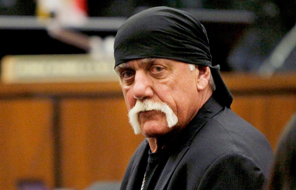  Hogan sued Gawker for publishing a snippet of his sex tape with Heather Clem