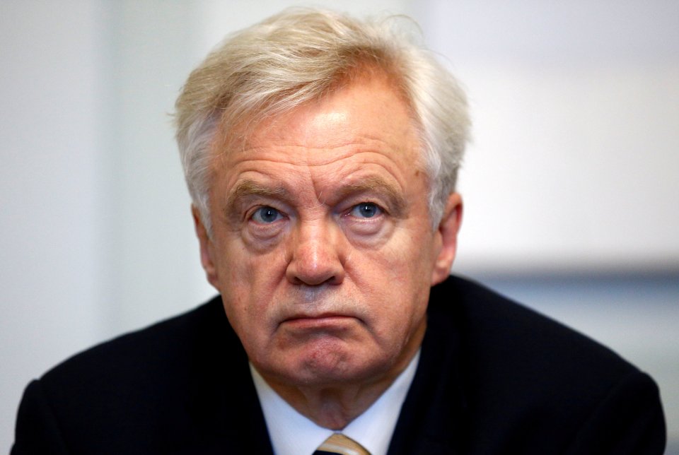  Tory MP David Davis branded the Government's policy 'mad'