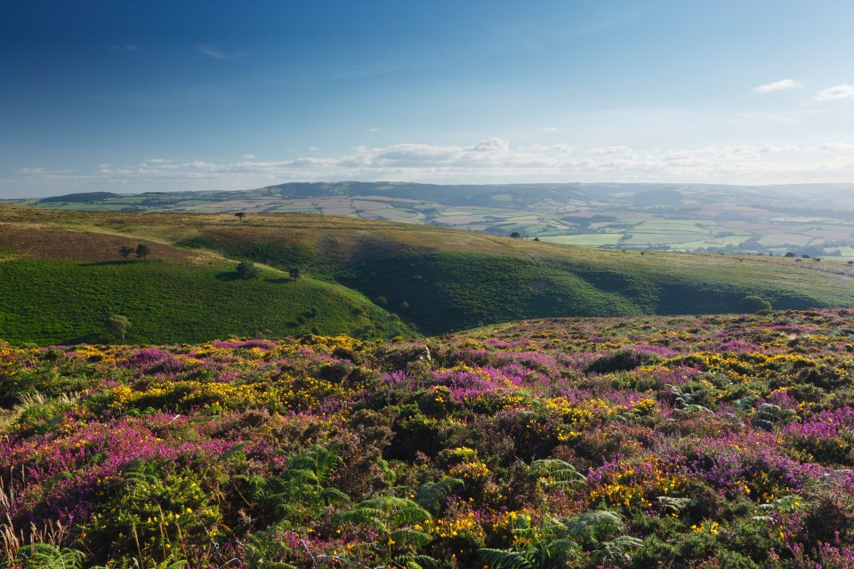 Ghosthunters are investigating a potty-mouthed ghoul at on the Quantock Hills in Somerset