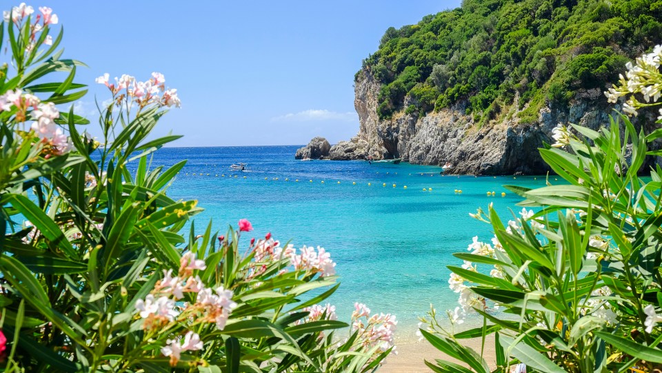 A stay in Corfu, Greece, can be found for as little as 124pp for a week's package holiday.