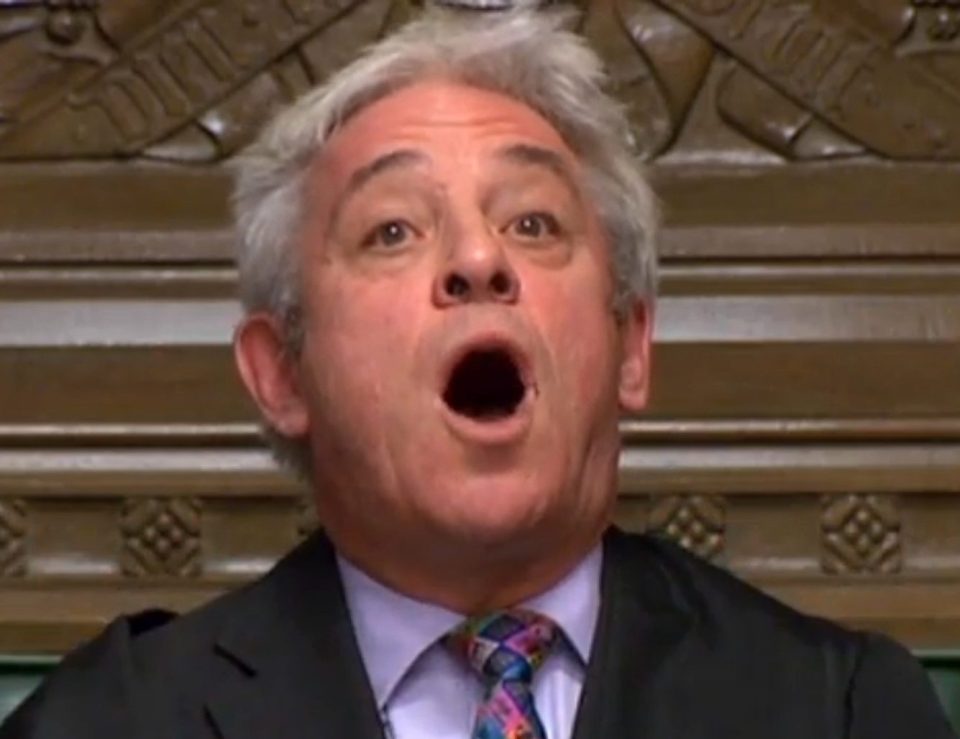 John Bercow has admitted losing his cool in the Commons and being easily angered