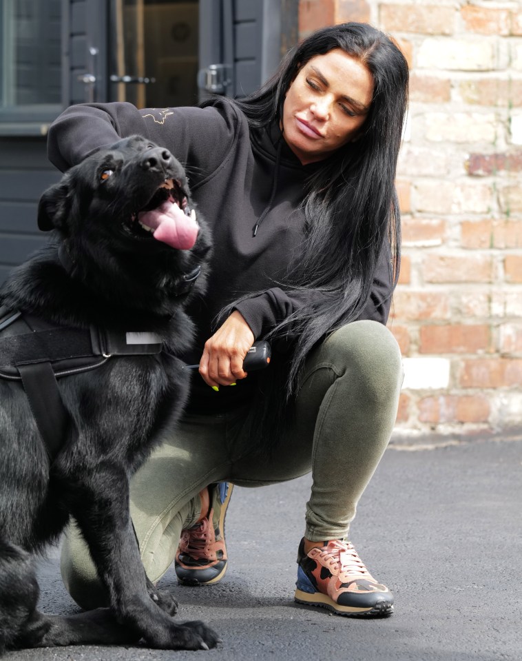  Katie Price is looking to get another puppy alongside her protection dog Blade